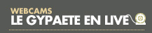 Le gypate en live